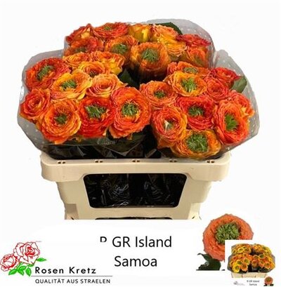 R Gr Gr Island Samoa