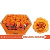 R Gr Heliana Orange+