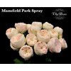 R Tr Mansfield Park Imp