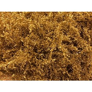 Solidago Dyed Gold 80cm