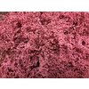 Solidago Dyed Pink 80cm