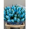 Tulp Dyed Light Blue