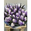 Tulp Dyed Pastel Milka