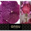 Vanda By Flower Crimson Love