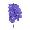 Vanda By Flower Light New Blue