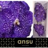 Vanda By Flower Tweed Blue