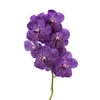 Vanda By Flower Vivid Violet