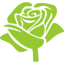 PREMIUM Розы плантации Zarina (Колумбия)!